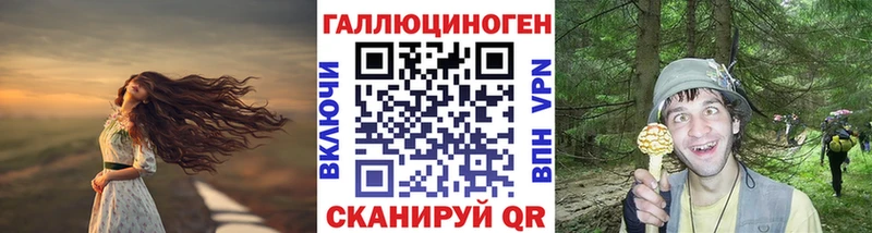 mega ТОР  Щёлково  Галлюциногенные грибы Cubensis  купить закладку 