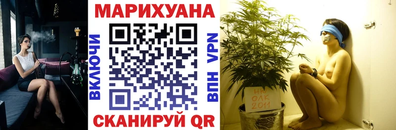 Конопля White Widow где купить наркоту Щёлково